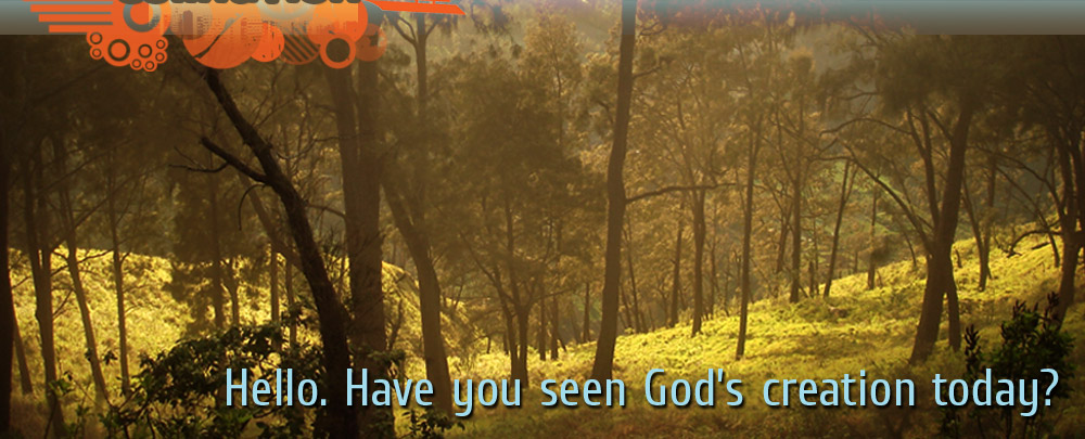 Hello. Have you seen God's creation today?